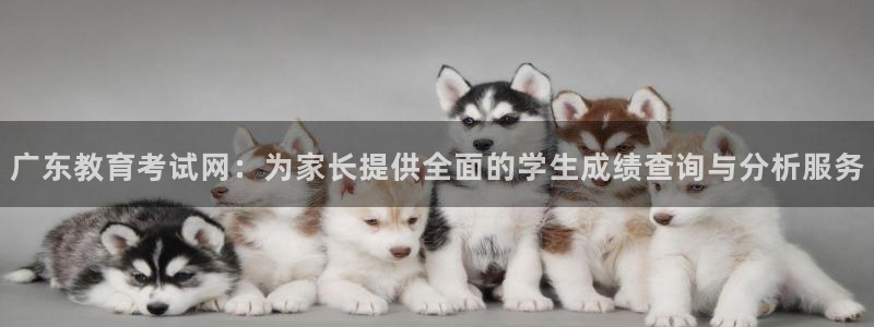 新宝堂新会陈皮5年
