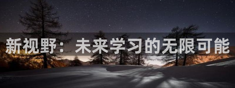 新5宝