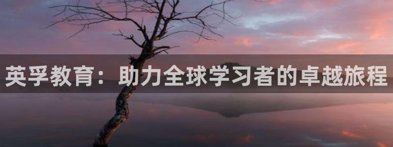 新宝5如何下载