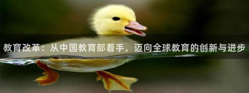 新宝5测速登陆