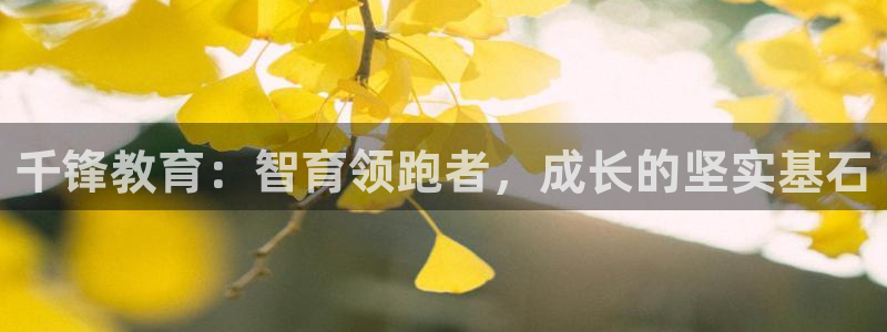 新宝5是什么