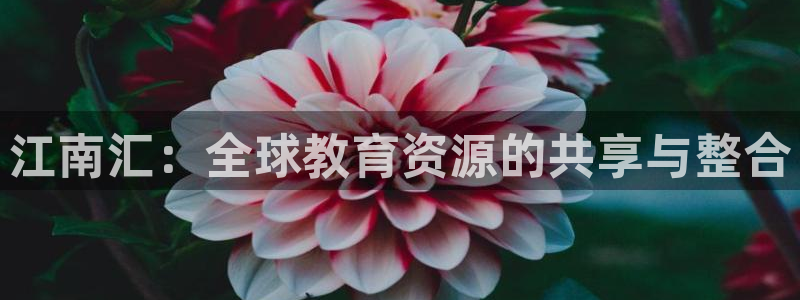 新宝5球维33 300
