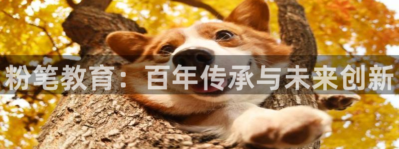 有人知道新宝5么