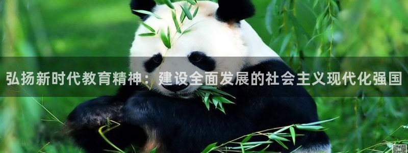 新宝5娱乐主管
