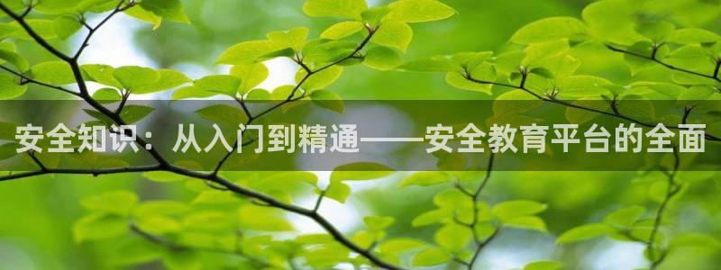 新宝5开好