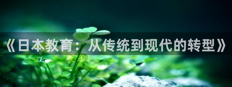 新宝5总代