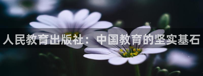 新宝5测速登陆