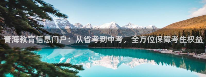 新宝娱乐5