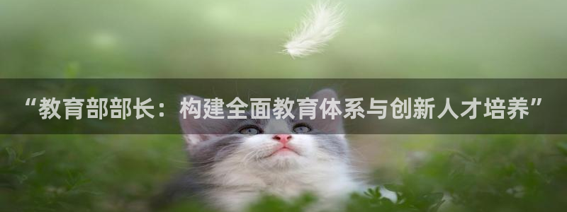 新5宝