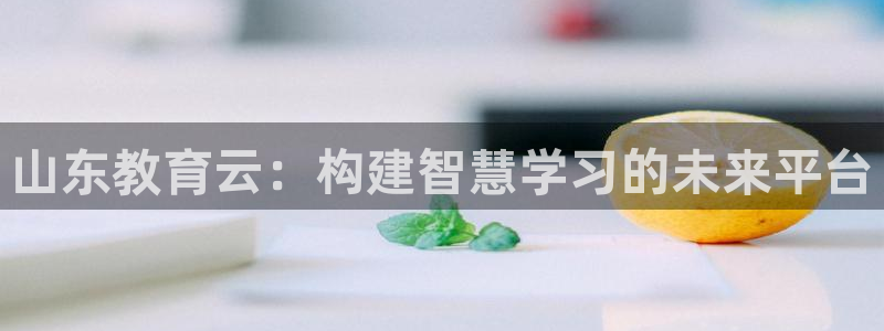 新宝5招商
