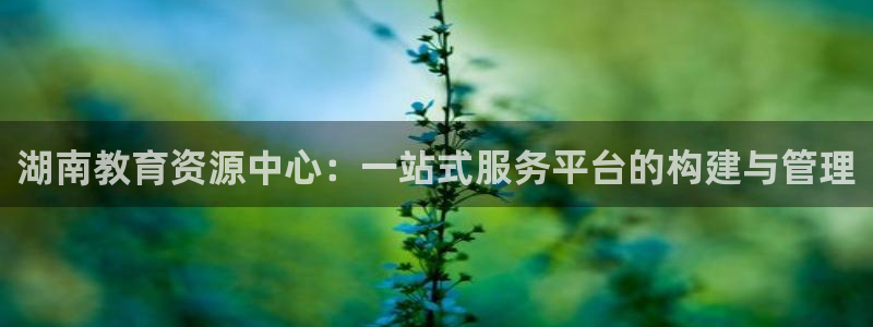 新宝5蒋7O667