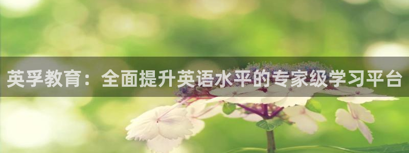 新宝5官网