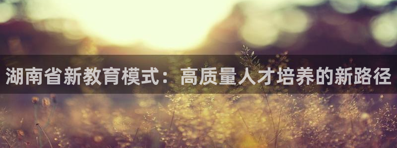 新宝5app手机下载